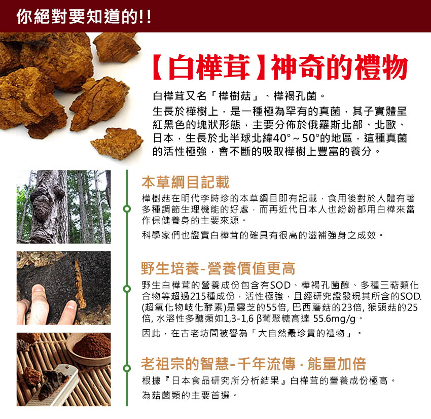 草本之家白樺茸複方1粒 Pchome 24h購物