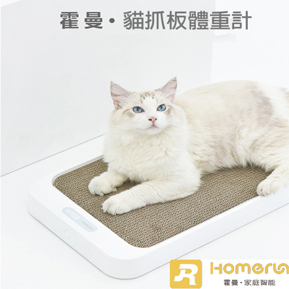 Homerun霍曼貓抓板體重計 Pchome 24h購物