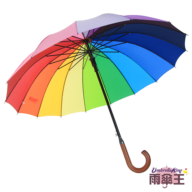 雨傘王 16傘骨彩虹傘 Pchome 24h購物