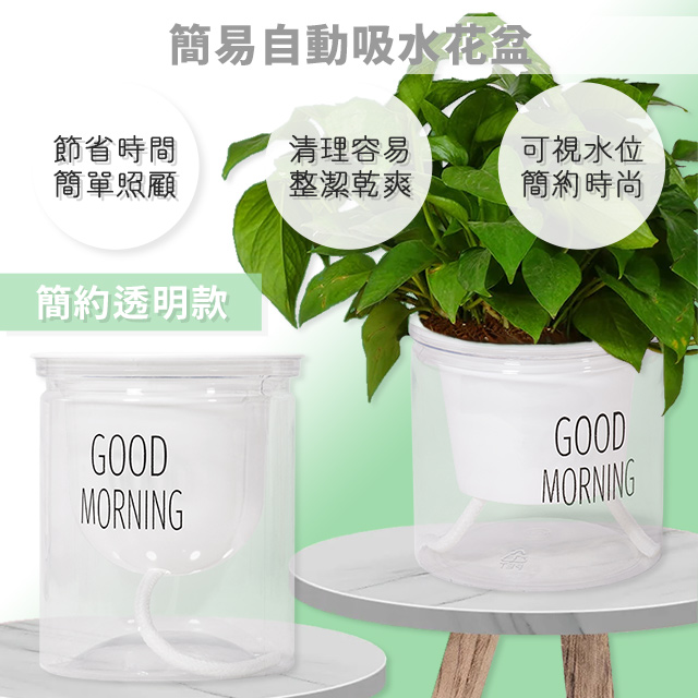 簡易自動吸水花盆透明小款 Pchome 24h購物