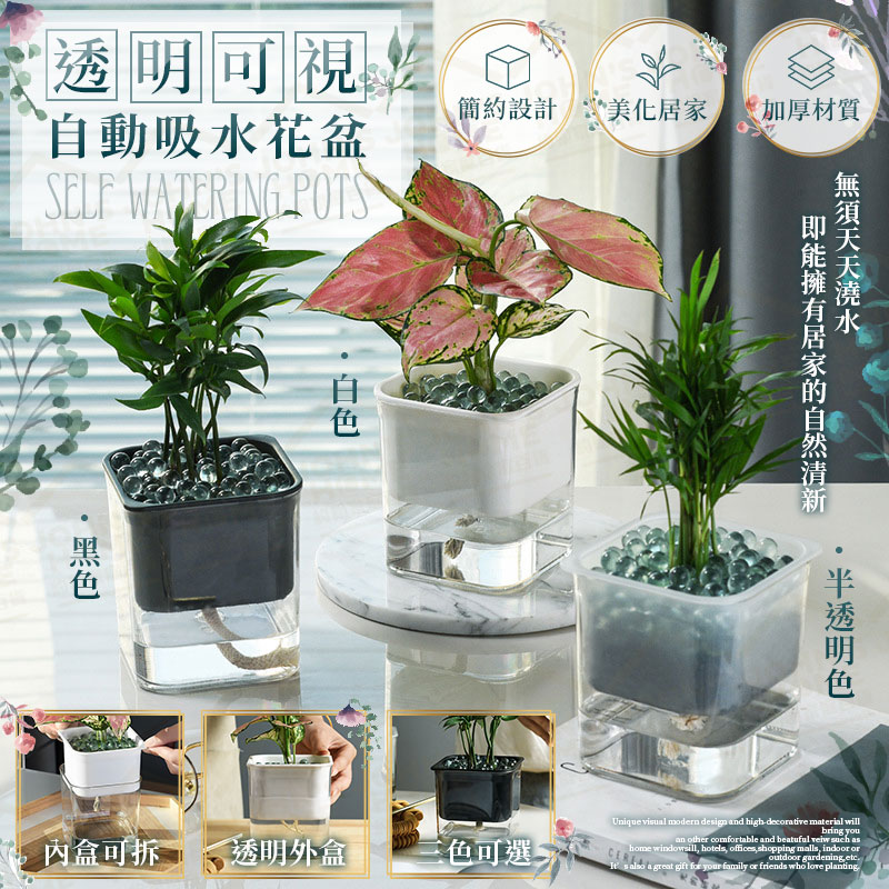 花盆 器皿 Pchome 24h購物