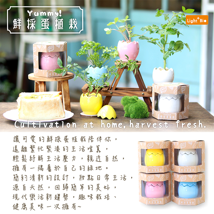 Yummy 鮮採蛋植栽 藍色 Pchome 24h購物