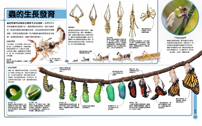 超能力昆蟲百科 地球上最大 最快 最致命的昆蟲與節肢動物 Pchome 24h書店