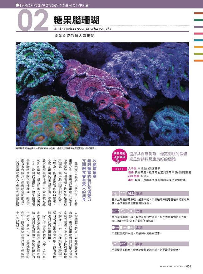 給新手的珊瑚飼育指南 Pchome 24h書店
