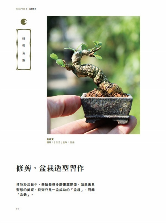 迷你盆栽習作 掌上天地寬 縮擬於豆缽中的四季風景 17年暢銷改版 Pchome 24h書店