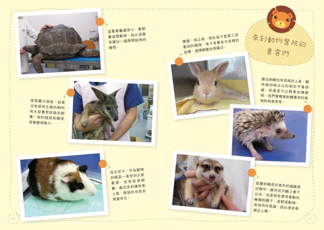 動物醫生的熱血日記 貓咪 倉鼠到蜥蜴 66個最新奇動人的生命故事 Pchome 24h書店