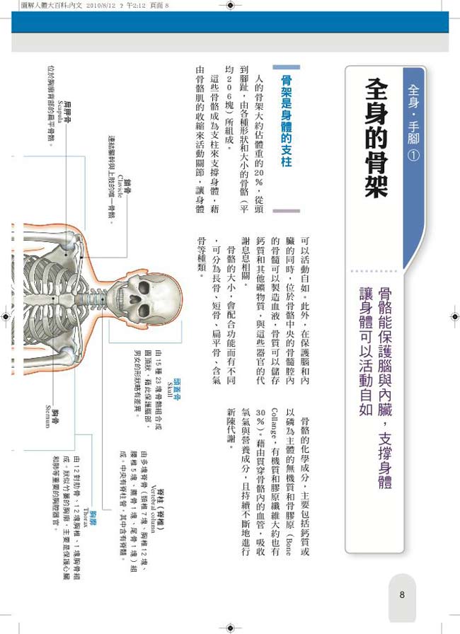 圖解人體大百科 Pchome 24h書店 圖解人體大百科 Pchome 24h書店