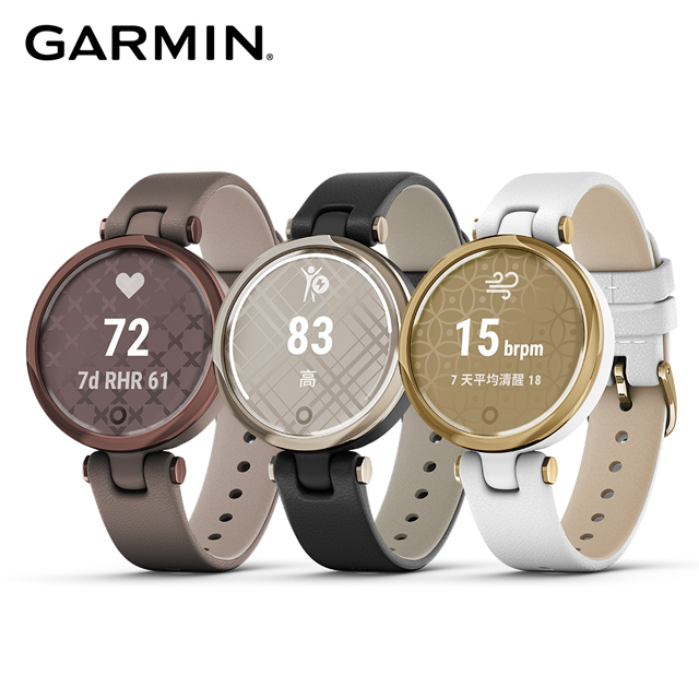 Garmin Lily 智慧腕錶經典款 Pchome 24h購物