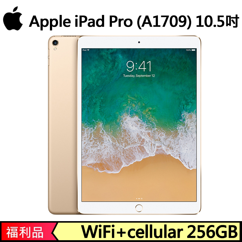 iPad Pro 10.5インチ 256GB wifi + Cellular - coastalcareeracademy.com