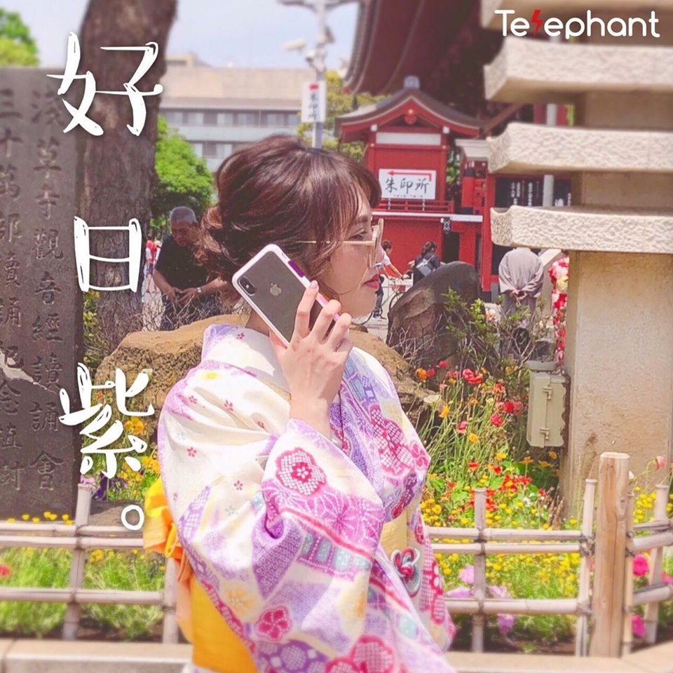 好日紫 Telephant 太樂芬 NMDer 抗汙防摔手機殼 iPhone 11 Pro(5.8吋)